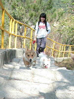 Giwawa