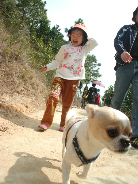 Giwawa