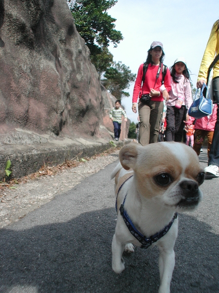 Giwawa