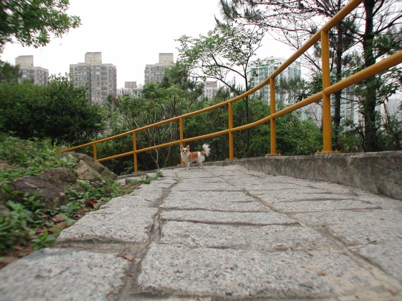 Giwawa