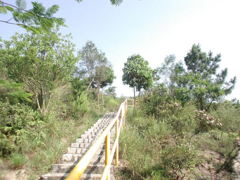 Giwawa
