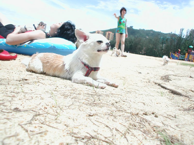 Giwawa