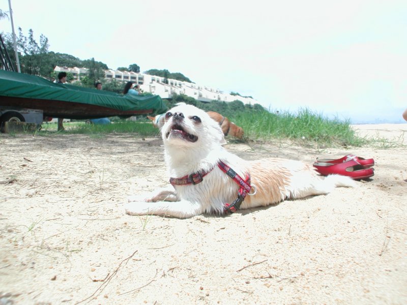 Giwawa