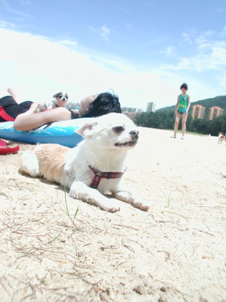 Giwawa
