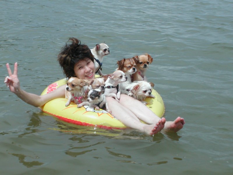 Giwawa