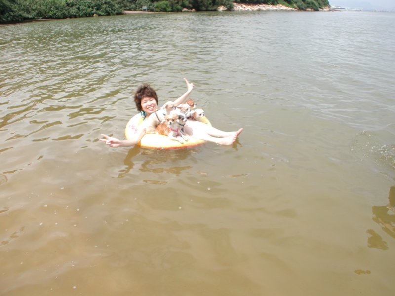 Giwawa