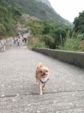 Giwawa