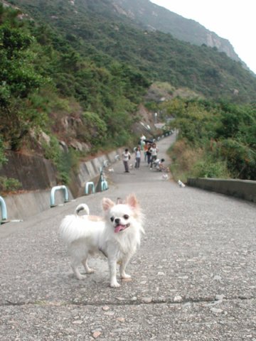 Giwawa