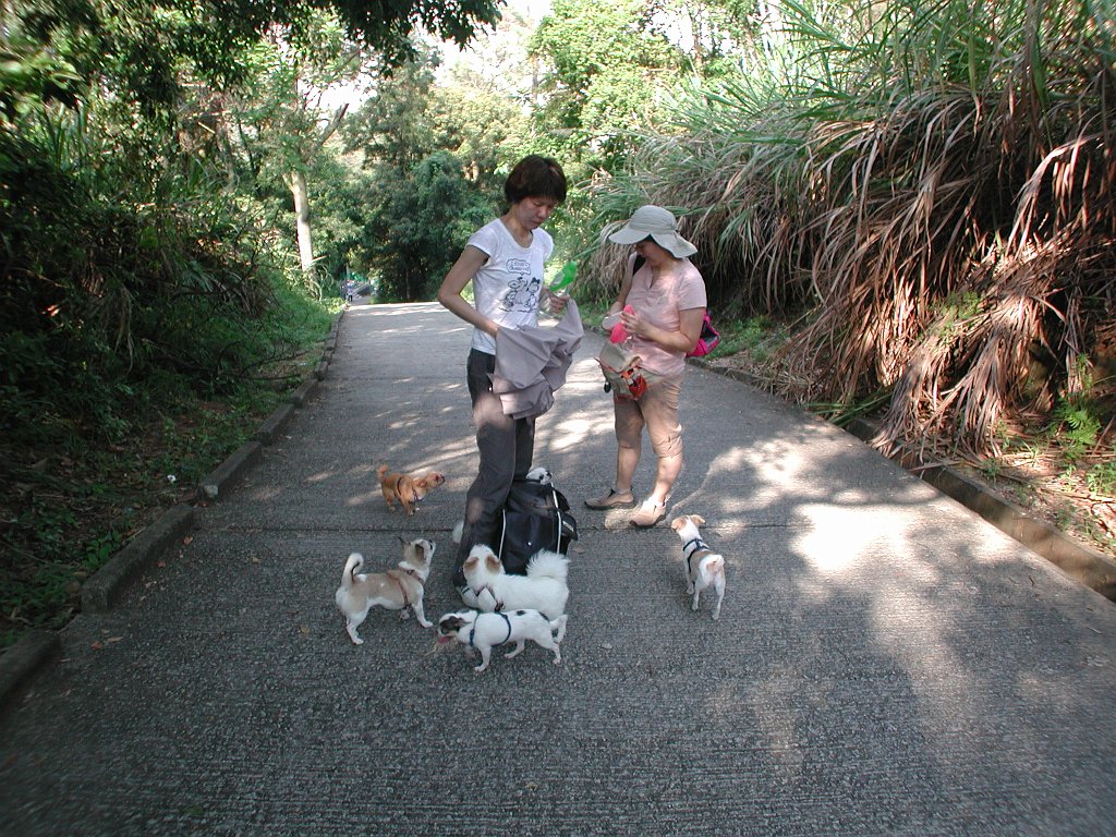 Giwawa