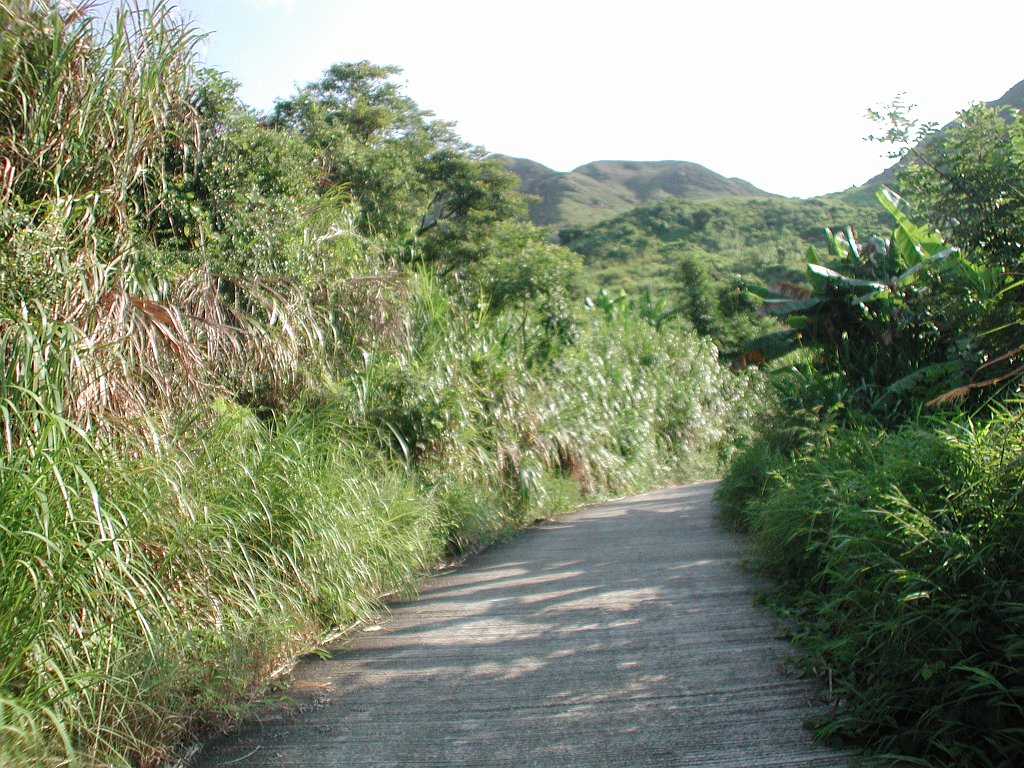 Giwawa