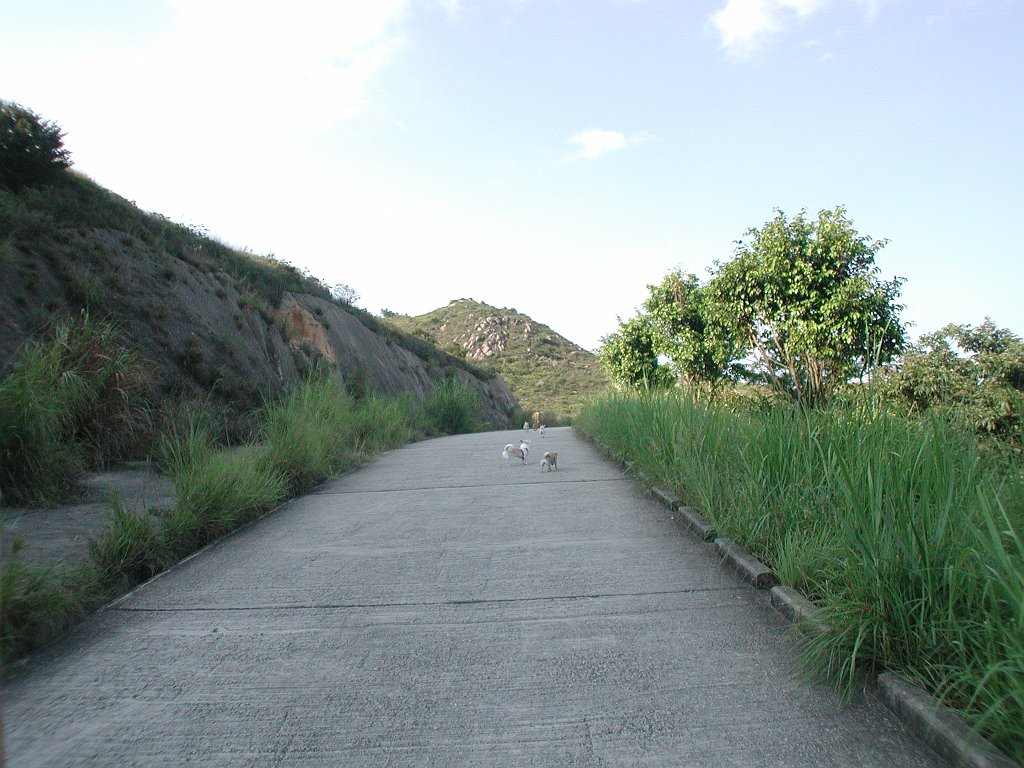 Giwawa