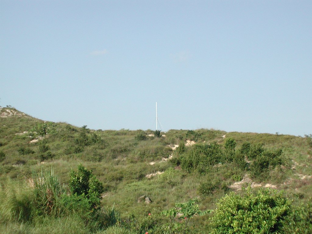 Giwawa