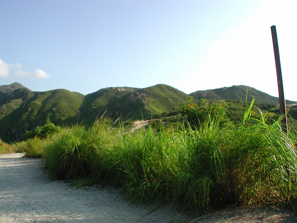 Giwawa