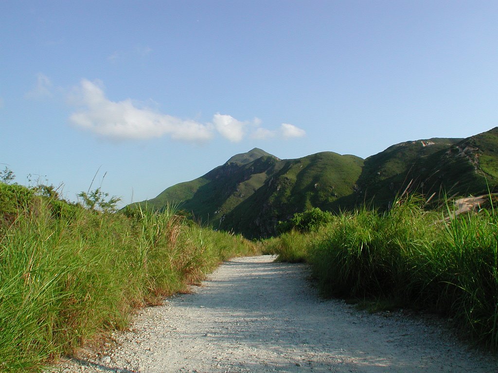 Giwawa