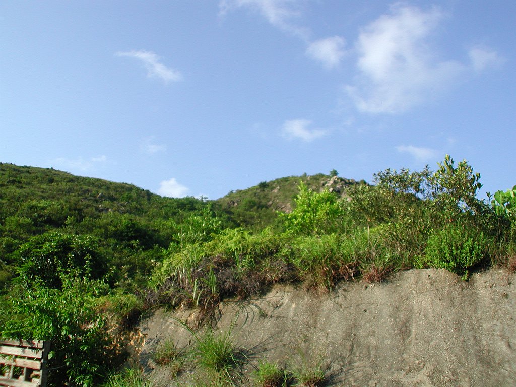 Giwawa