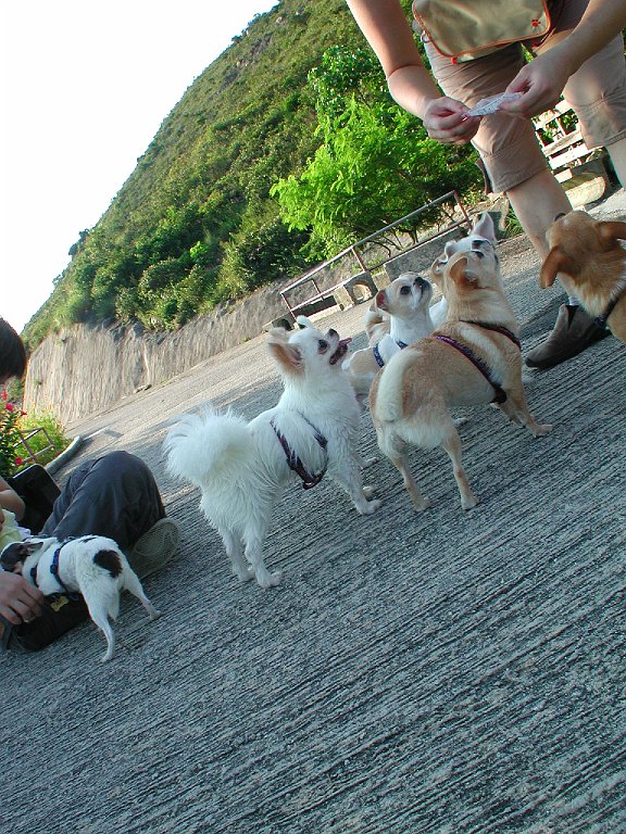 Giwawa