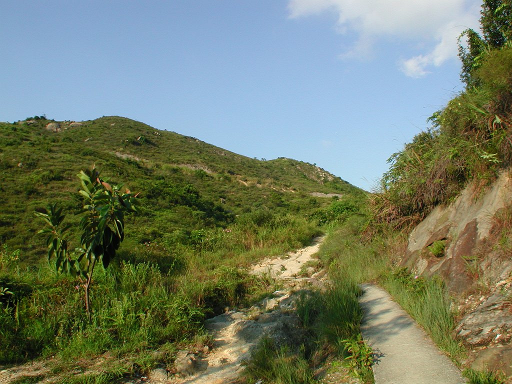 Giwawa