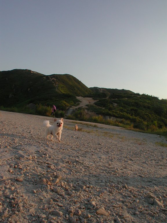 Giwawa