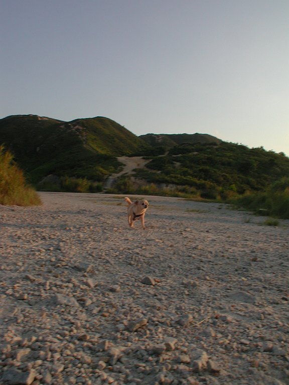 Giwawa