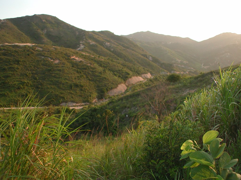 Giwawa