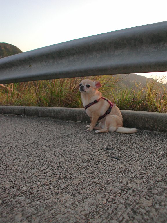 Giwawa