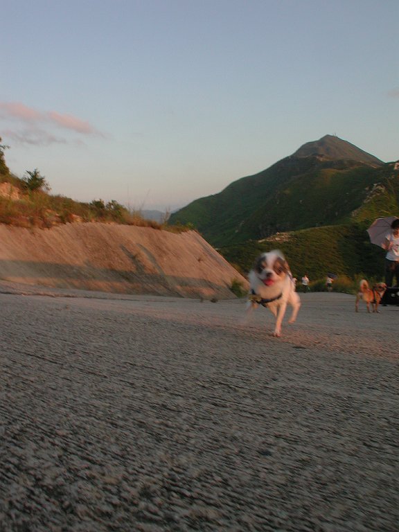Giwawa
