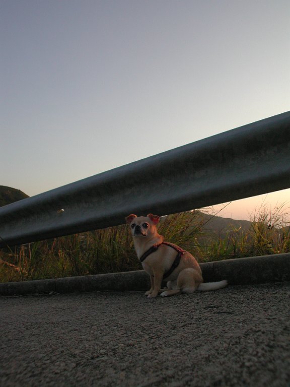 Giwawa