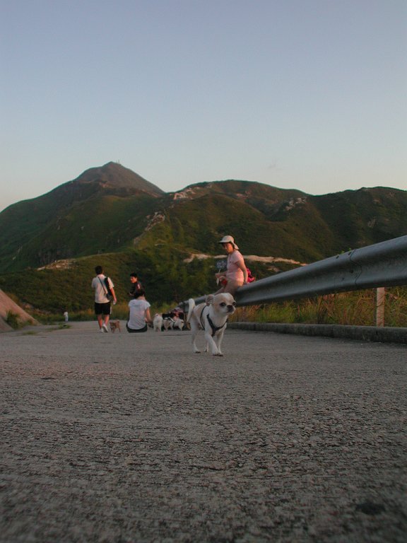 Giwawa