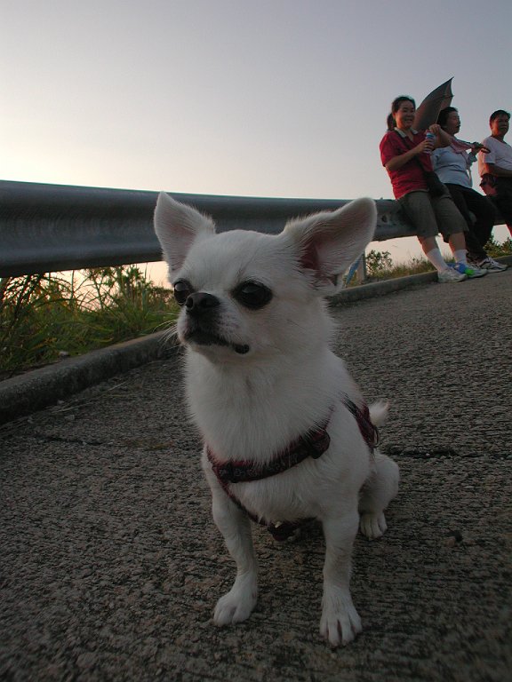 Giwawa