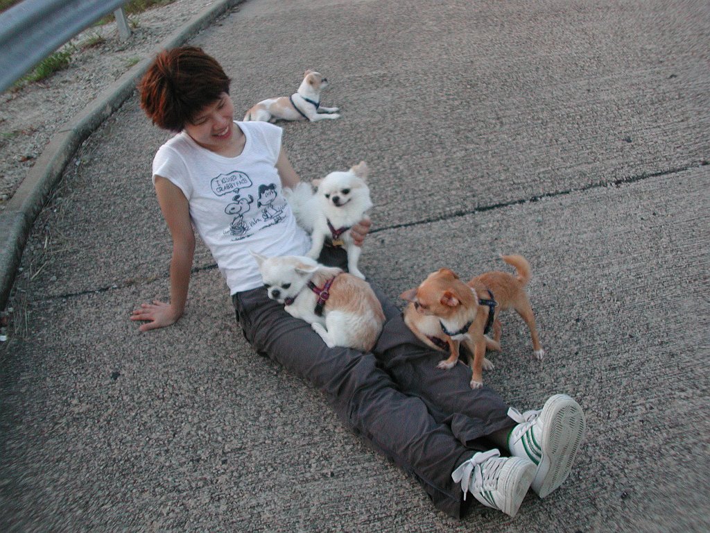 Giwawa