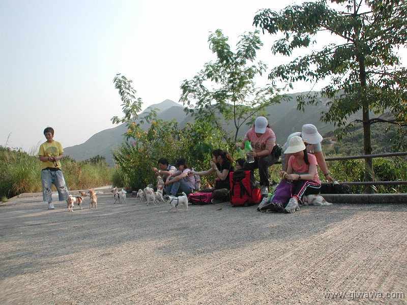 Giwawa