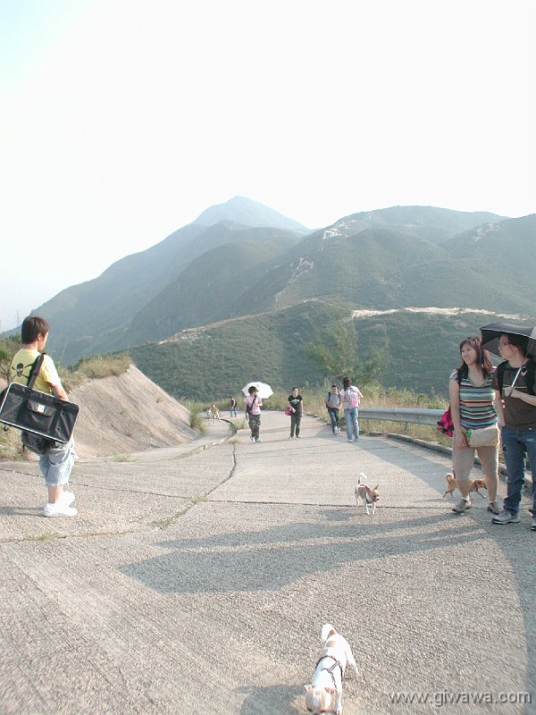 Giwawa