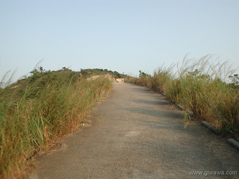 Giwawa