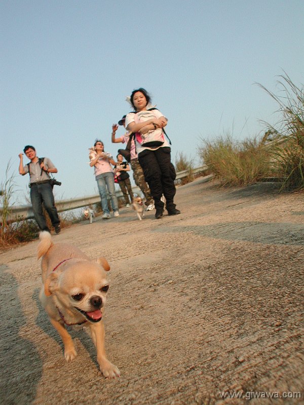 Giwawa