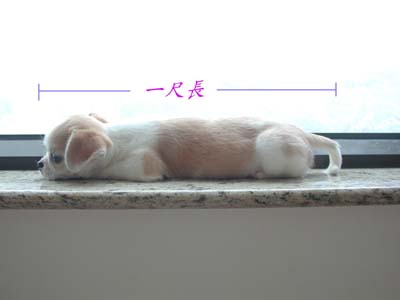 ../Images/GGDWDscn2674.jpg