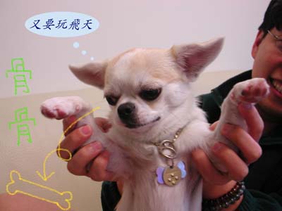 ../Images/GGDWDscn3426.jpg