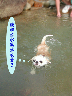 ../Images/GGDWDscn3682.jpg