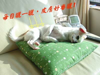../Images/GGDWDscn5325.jpg
