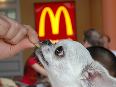 ../Images/GGDWDscn5993.jpg
